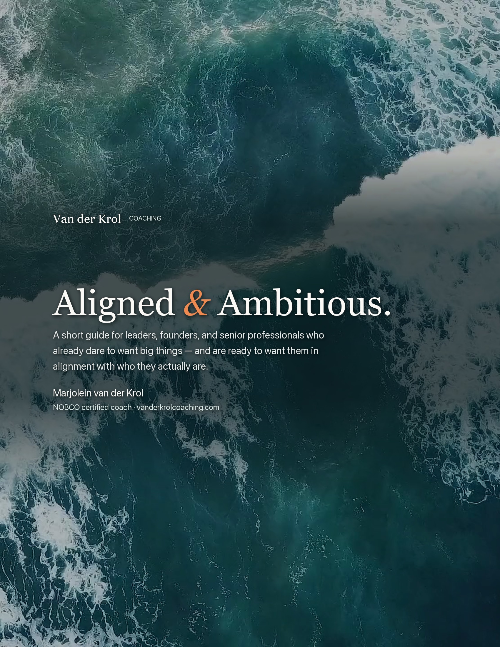Aligned & Ambitious — book cover