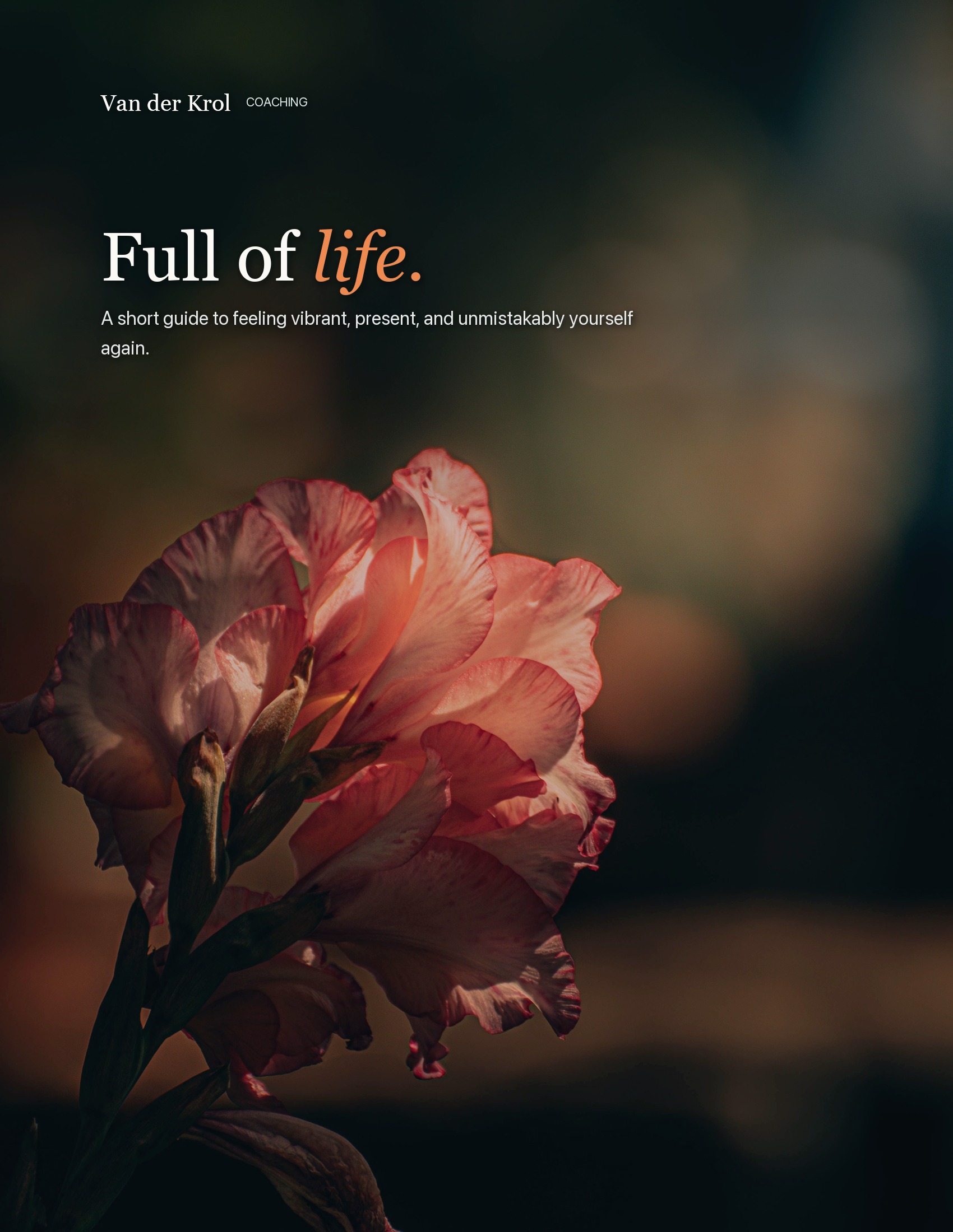 Full of Life — book cover